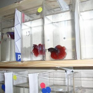 P1010122sm.JPG