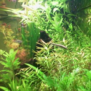 Image_026_.jpg