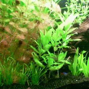 Image_030_.jpg