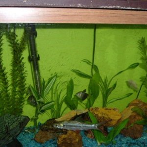 2005_1102Image0017.JPG