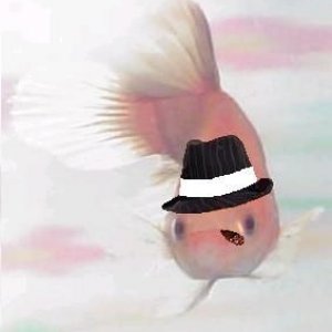 untitled.jpg