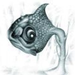 Google_Fish.jpg