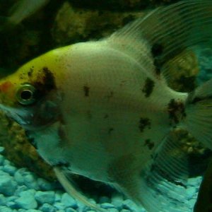 106_0628_2_.JPG