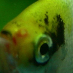 106_0629_2_.JPG