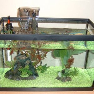 new_tank_3.jpg