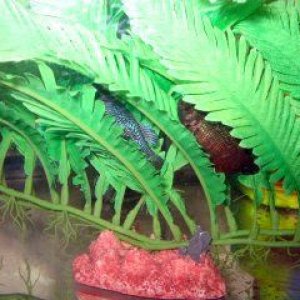 IMG_0846_1.jpg
