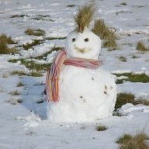 snowman.jpg