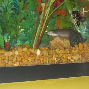 IMG_0451_2.JPG