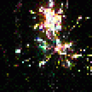 firework.gif