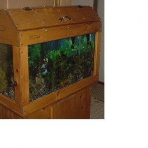 30_gallon_tank_2.JPG