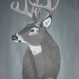 deer2.JPG