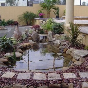 pond_planted_2.jpg