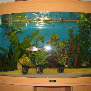 fish_001.JPG