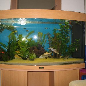 fish_6_001.JPG