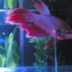 Image_189_.jpg