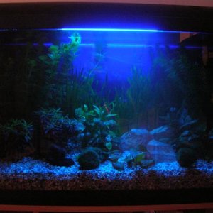 DSCN2512__Small_.JPG