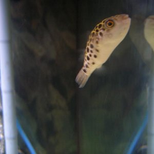 CIMG1343small.JPG