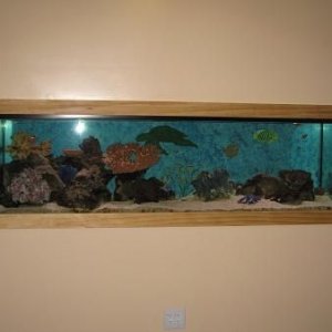 IMG_0603.JPG