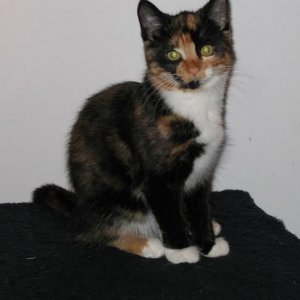 Mia_001.jpg