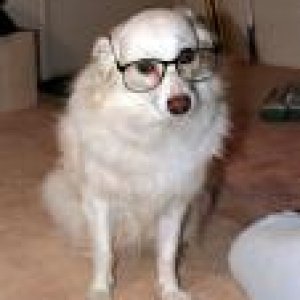 images3.jpg
