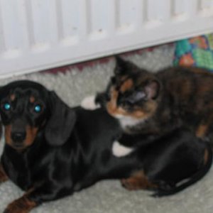 Tia_and_Mia_003.jpg