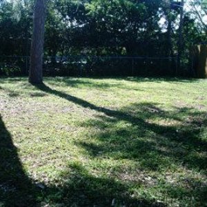 yard2.jpg