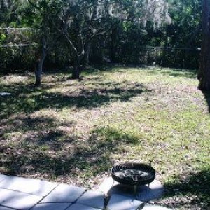 yard1.jpg