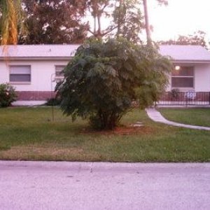 house.jpg