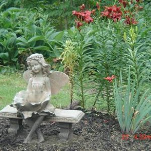 Lillies_2.jpg