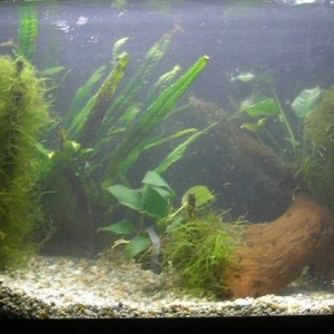 Image7.jpg