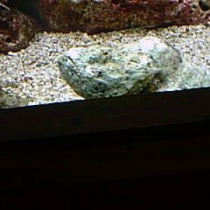 PIC00023.JPG