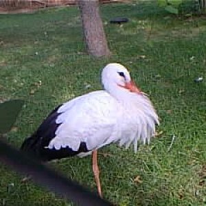 PIC00004.JPG
