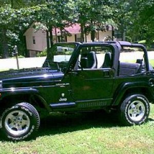 tazznotop.jpg