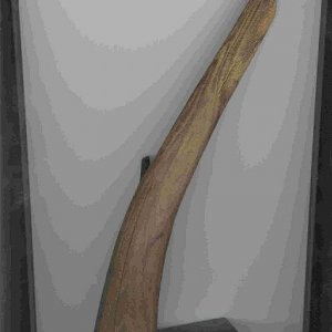 wood_ordiment.jpg