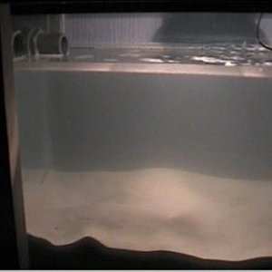 reef1_106.jpg