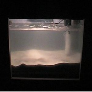 reef1_104.jpg