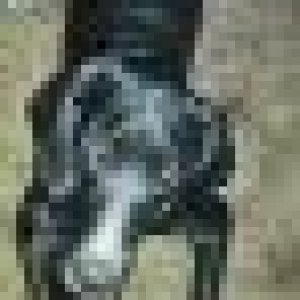 ag2EMzEEcjLFalc7l39qyM4VOX_K2u0m0060.jpg