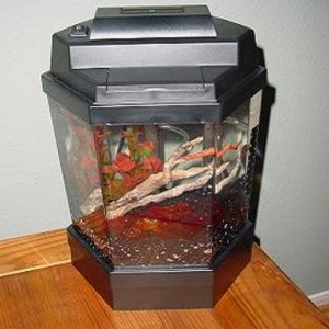 Tank1.jpg