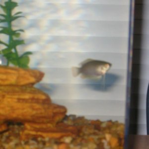 FISHnov19_047.jpg