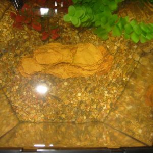 FISHnov21_025.jpg