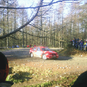 PIC_0034_copy.gif