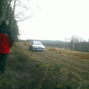 PIC_0043_copy.gif