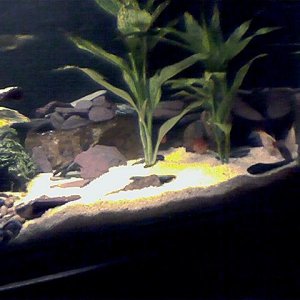 pic_2.jpg