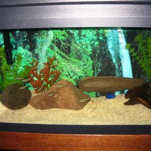 IMG_0497.JPG
