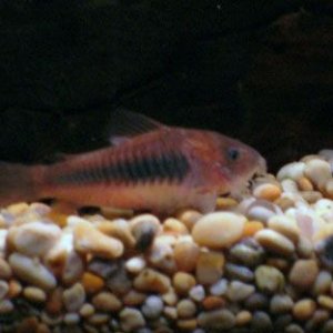 P1000180_web.jpg