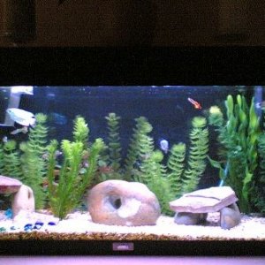 Image_265_.jpg