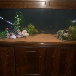 newphoto.JPG