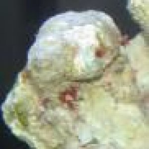 post_19059_1142309816_thumb_1_.jpg
