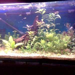 new_tank.jpg