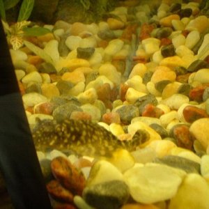 Picture_032.jpg